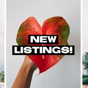 N E W ⭐️ LISTINGS ⭐️